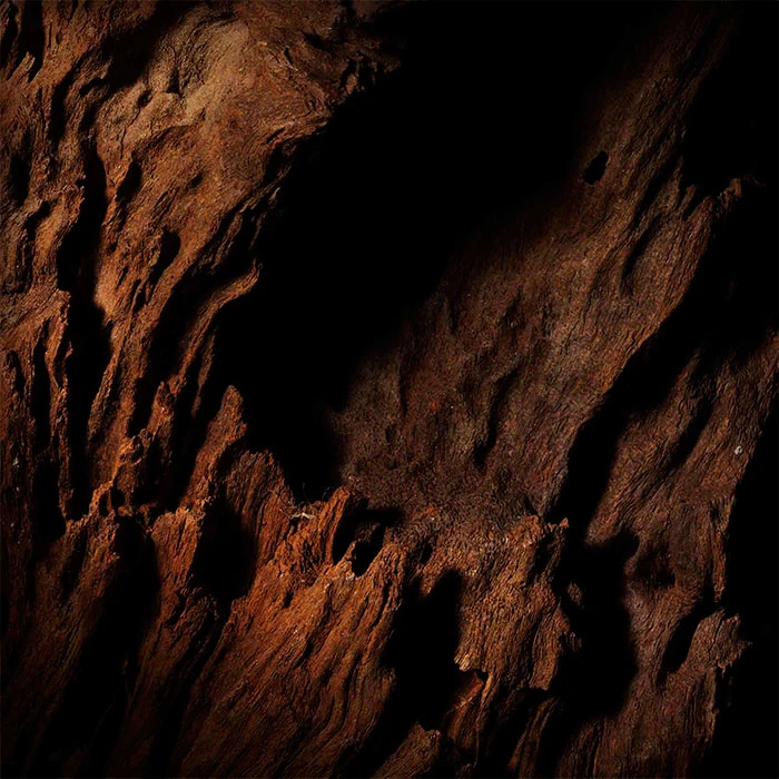 Guerlain Les Absolus D'Orient Oud Essentiel - Imagen 3