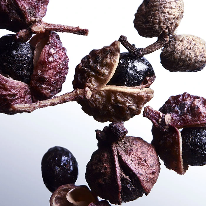 Davidoff COOL WATER STREET FIGHTER "CHAMPION EDITION" - Imagen 4