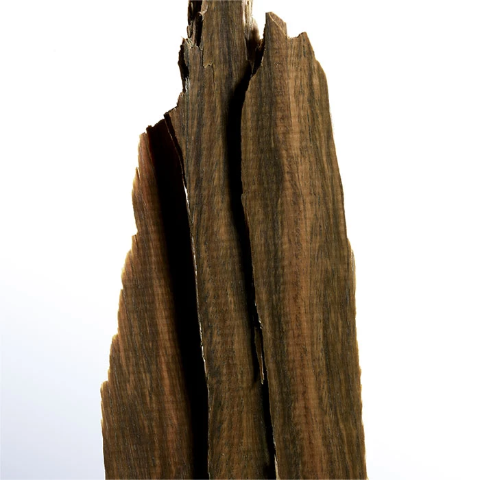 Davidoff COOL WATER STREET FIGHTER "CHAMPION EDITION" - Imagen 5