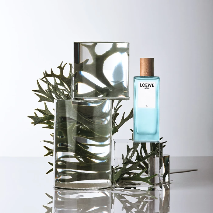Loewe AGUA ÉL - Imagen 3