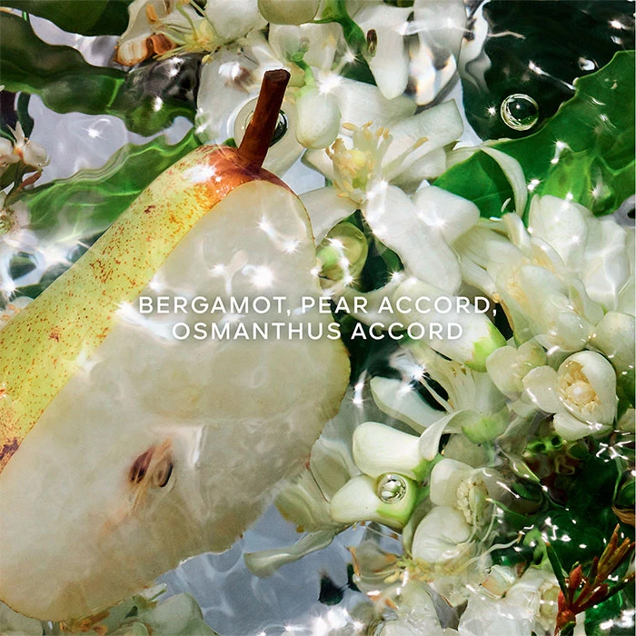 Guerlain Aqua Allegoria Pera Granita Estuche - Imagen 2