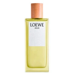 AGUA DE LOEWE